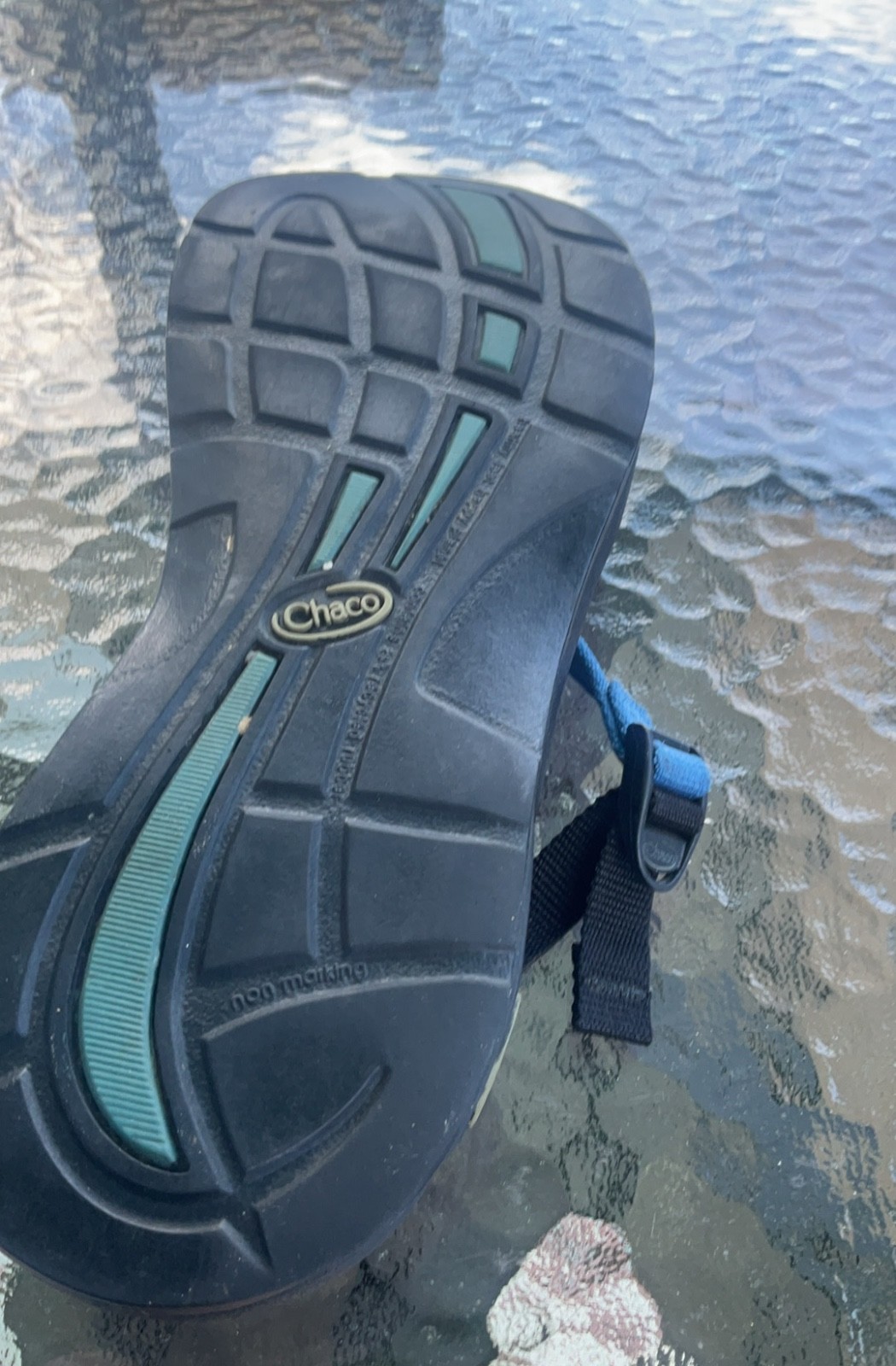 chacos wimen’s sandal