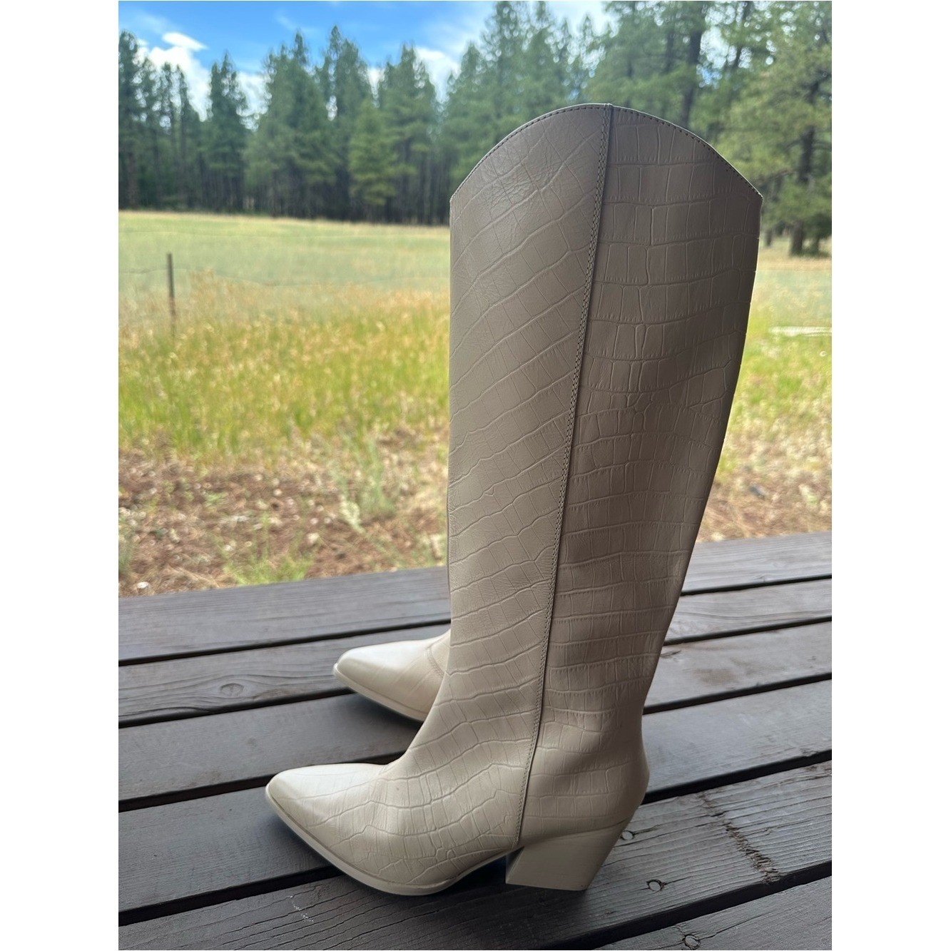 Seychelles Begging You Pointed Toe Croc Embossed Cream Leather Boots New!