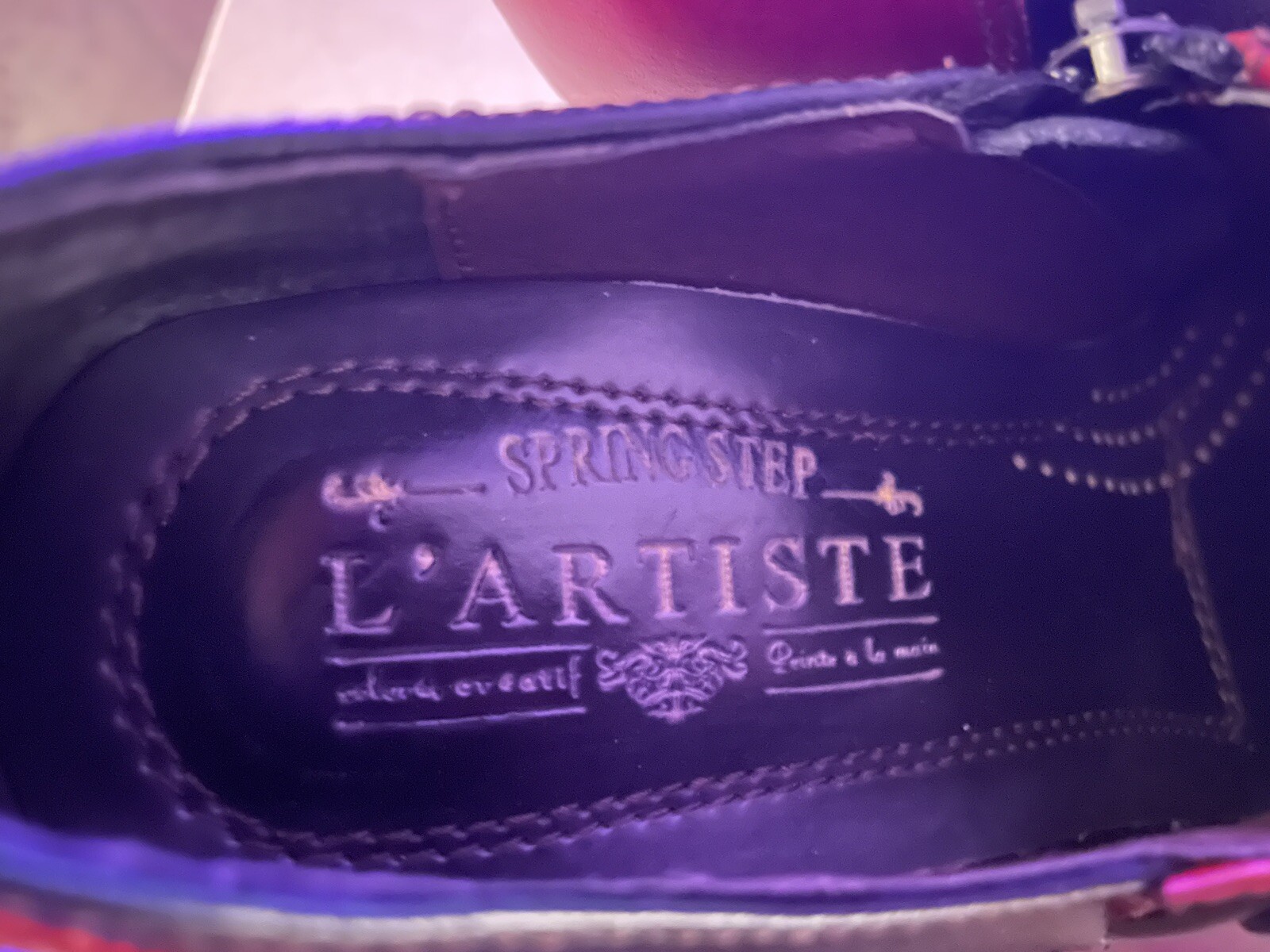 Lartiste GREENTEA Shoes Dark Red And Black Multi NIB Steampunk