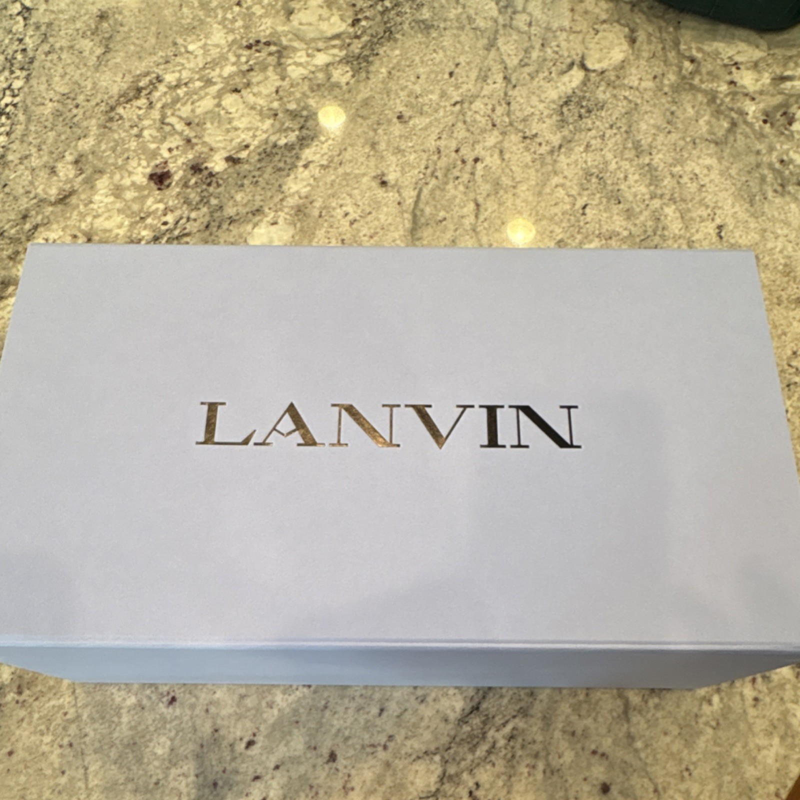 Lanvin Women’s Black/Silver Pointed Toe Slingback Heels Buckle EU 39