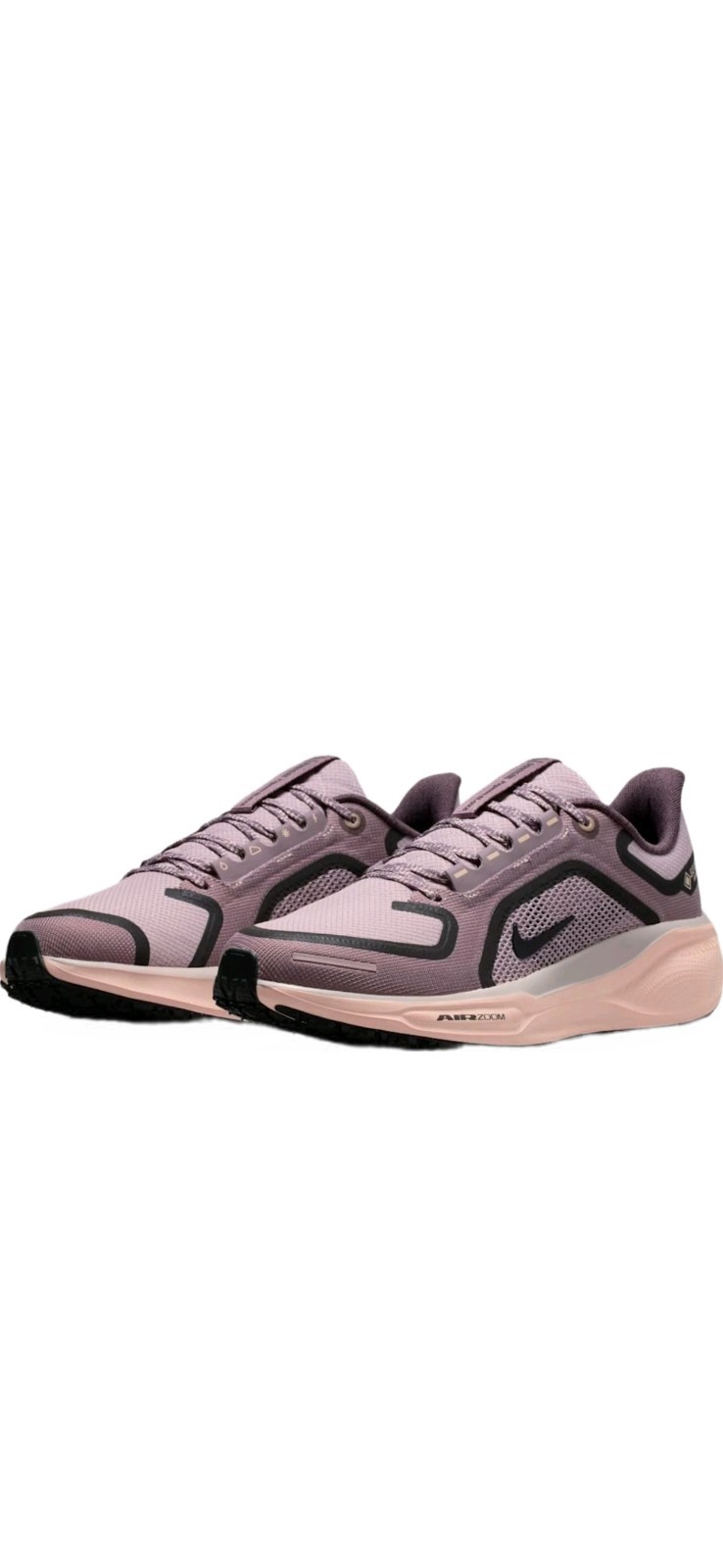 Size 11 – Nike Pegasus 41 GORE-TEX Platinum Violet/Crimson Tint/Taupe Grey/Black