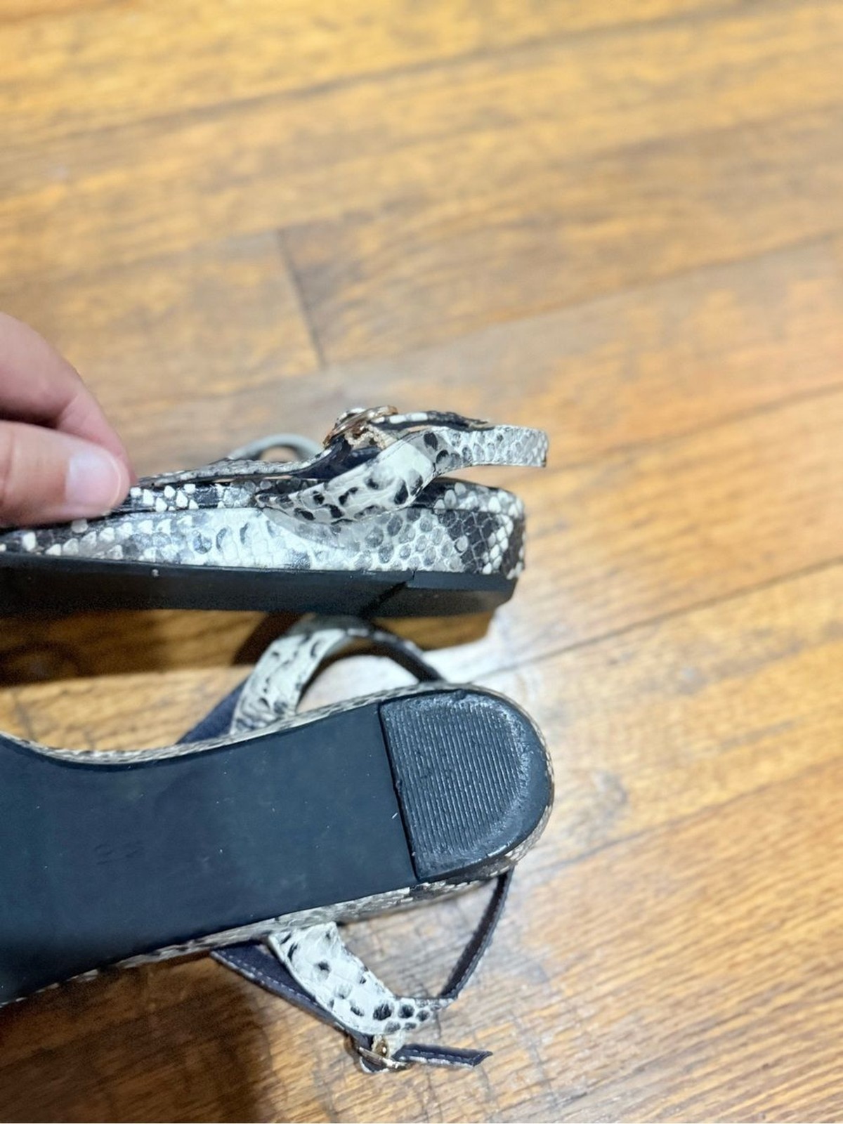 Van Eli Snake Print Strappy Sandals in Black and Gray 10
