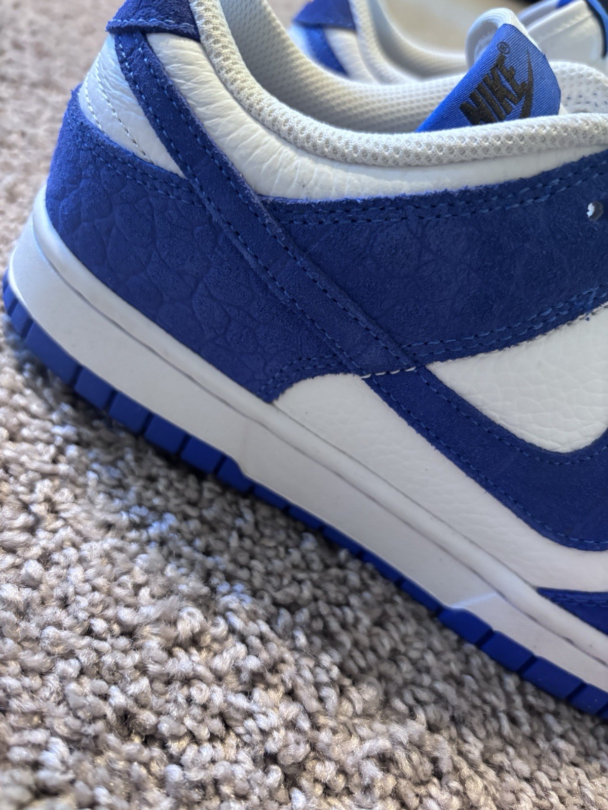 Nike women’s or Men’s Blue/White Colorblock Low Top Lace-Up FJ2253-901