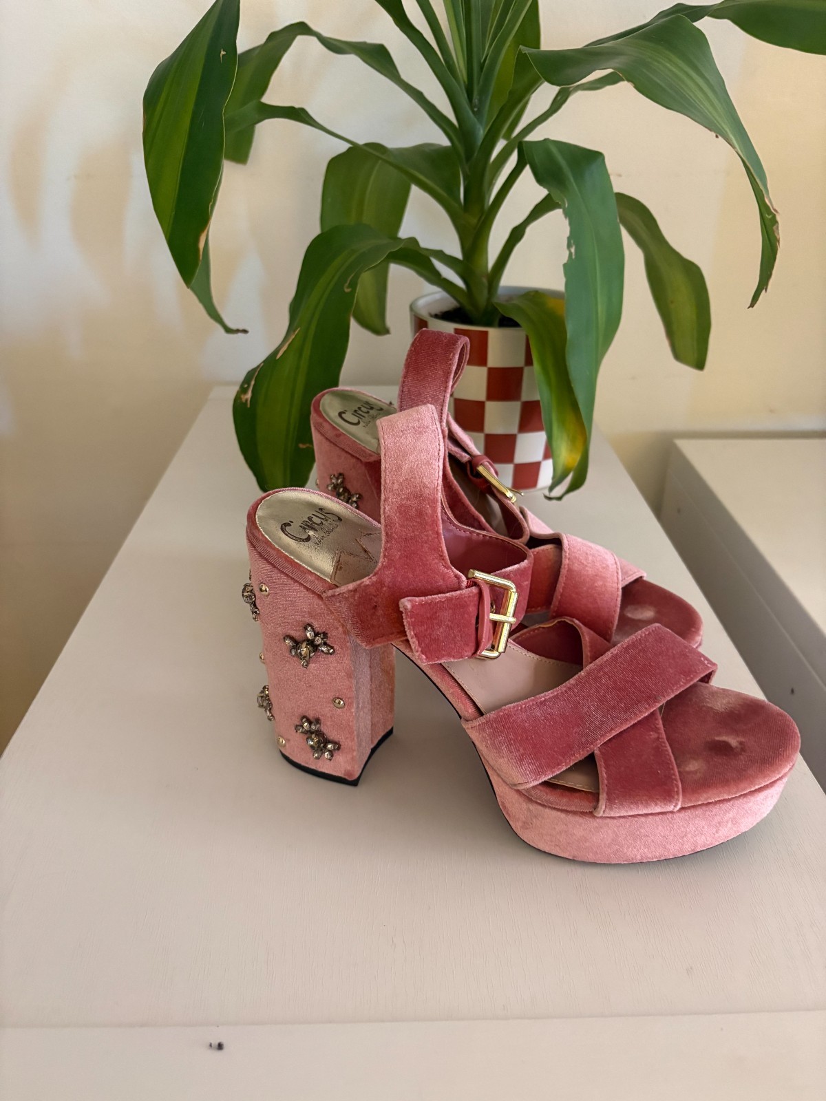 Pink Pumps / Circus Brand / Size 9 in womens / visible wear but good condition