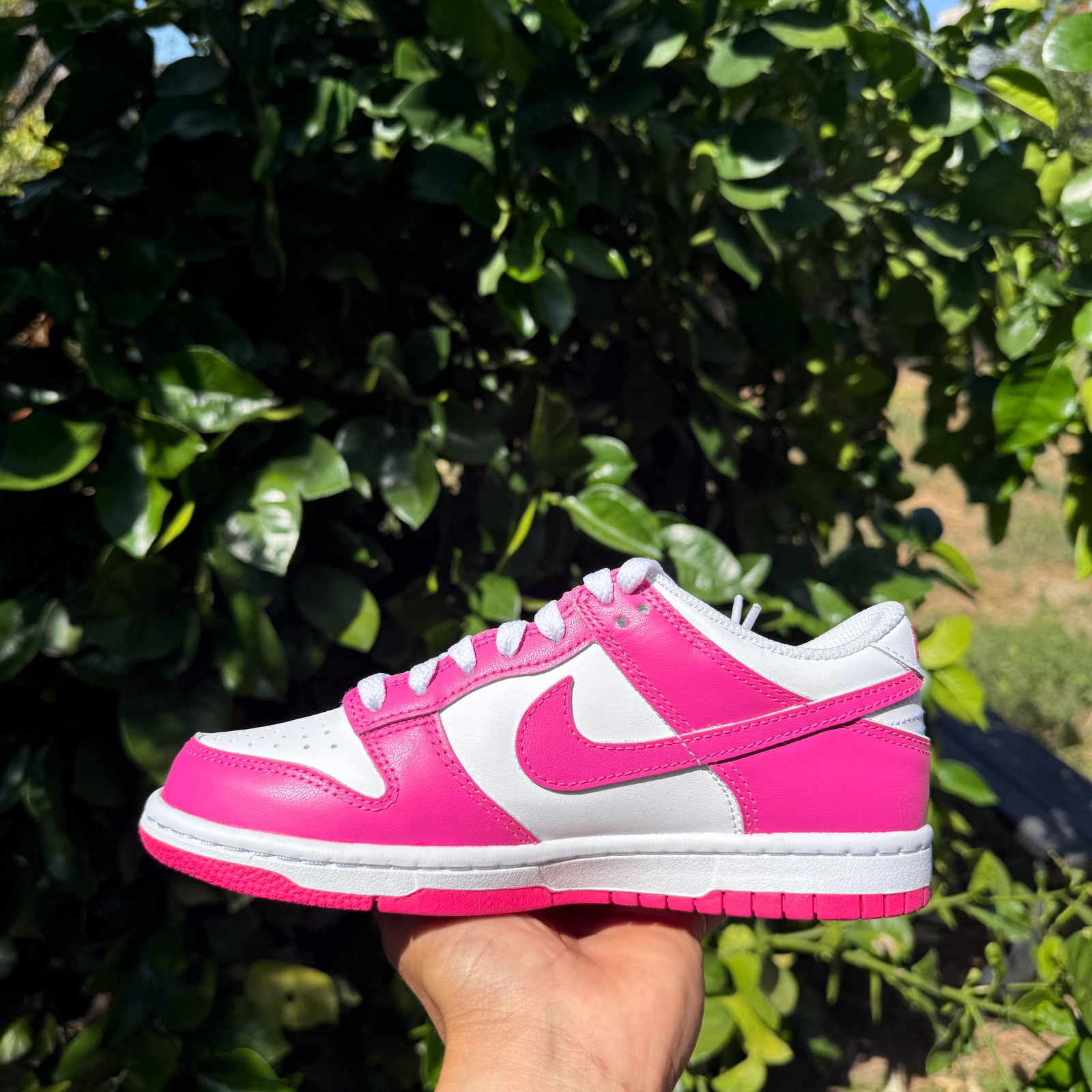 Nike Dunk Low Laser Fuchsia Pink GS / Women Sizes FB9109-102 New! Fast Ship!