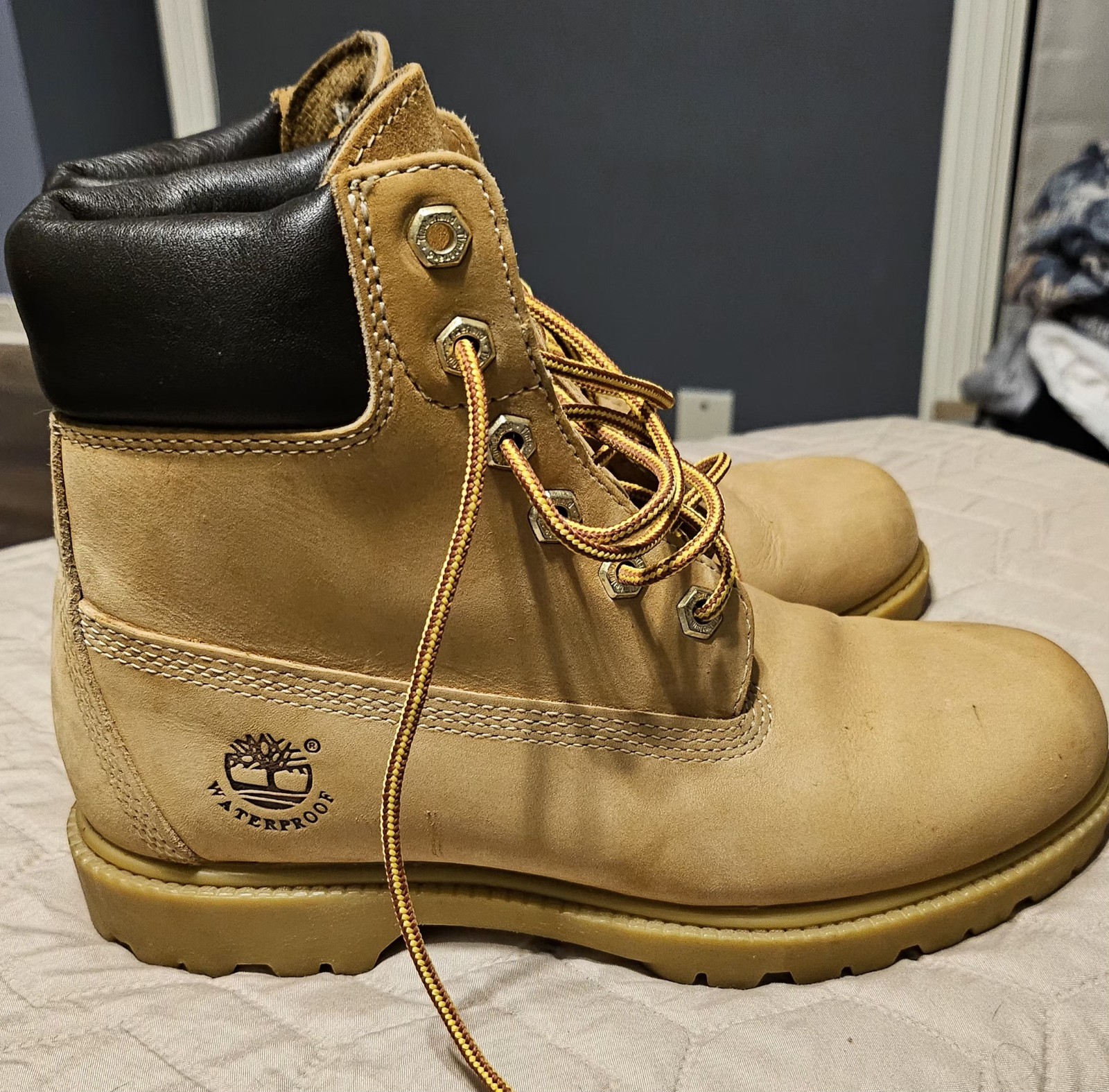 Women’s Timberland® 6-Inch Waterproof Boot Size 8M