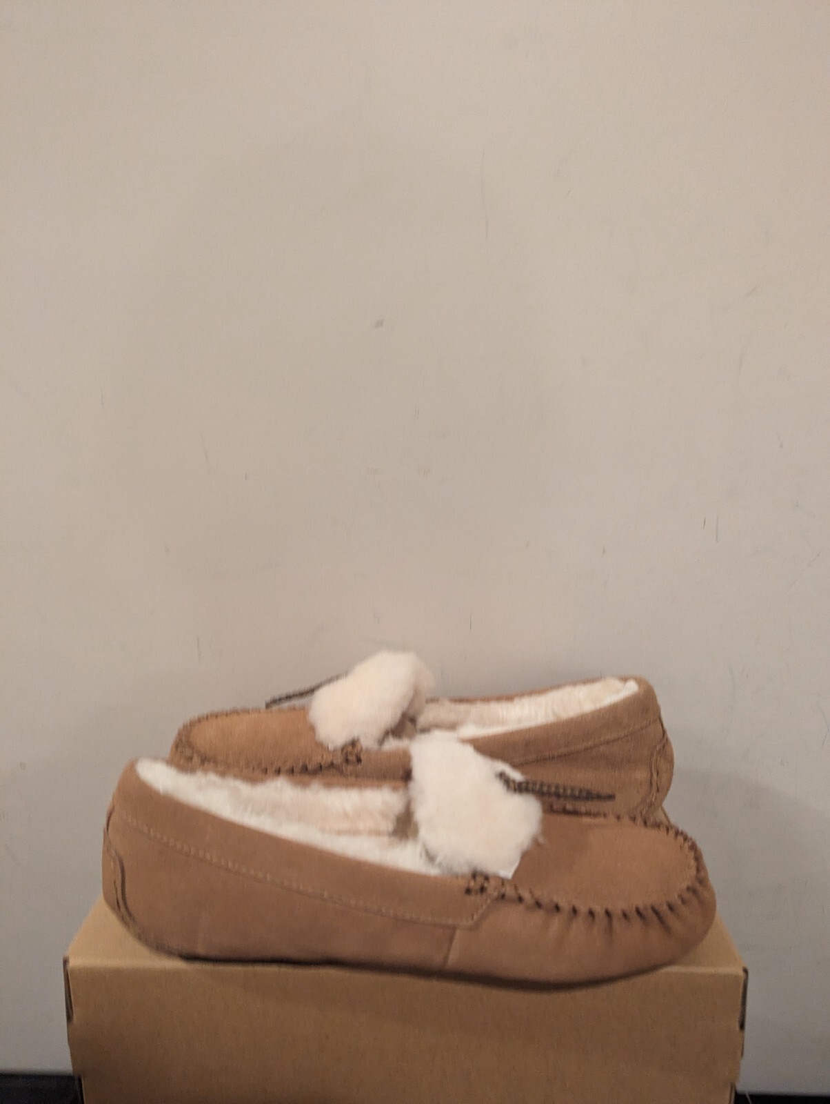 Ugg Australia Womens Dakota Shearling Braid Slipper Size 8 NIB