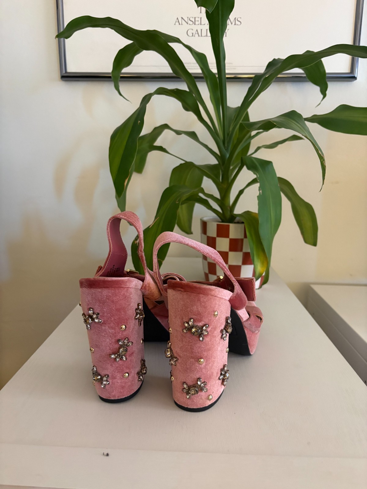 Pink Pumps / Circus Brand / Size 9 in womens / visible wear but good condition